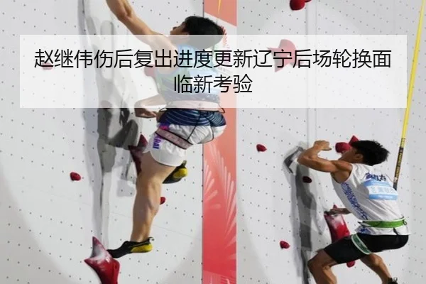 赵继伟伤后复出进度更新辽宁后场轮换面临新考验